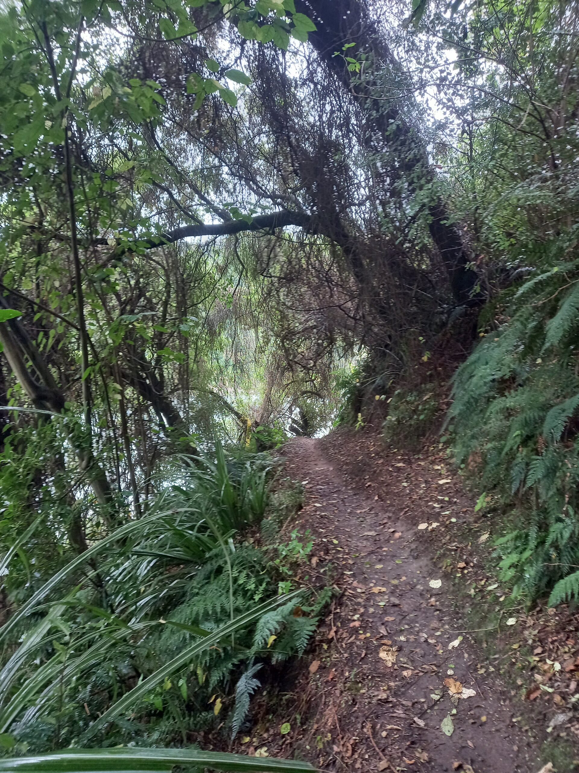 20230507_132948 20230507_132948